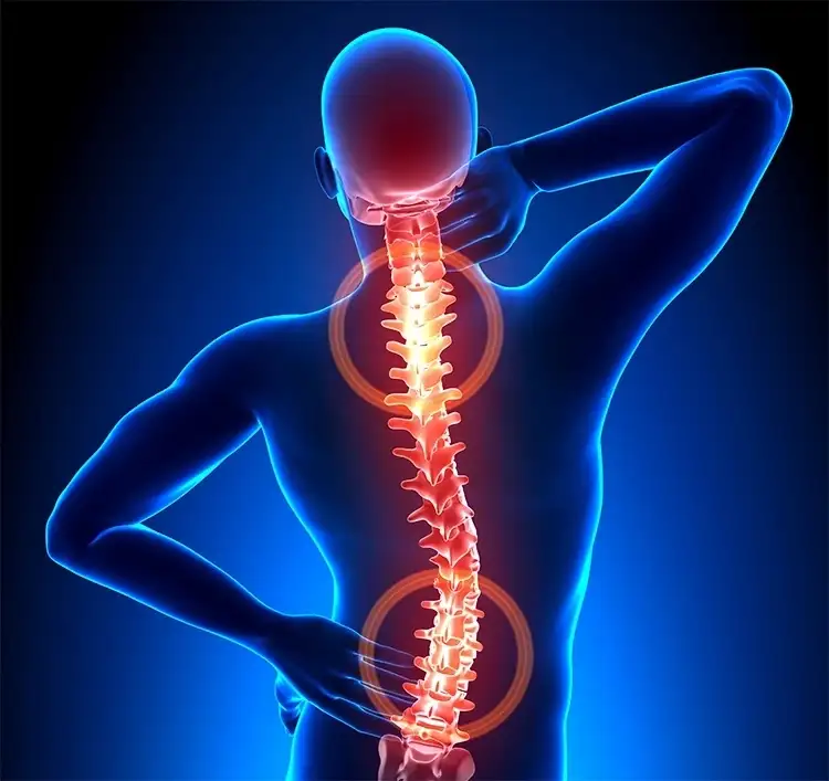 A man with his back turned and the spine highlighted in red.